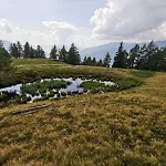 Fender Sonnalm Luxury Homes *