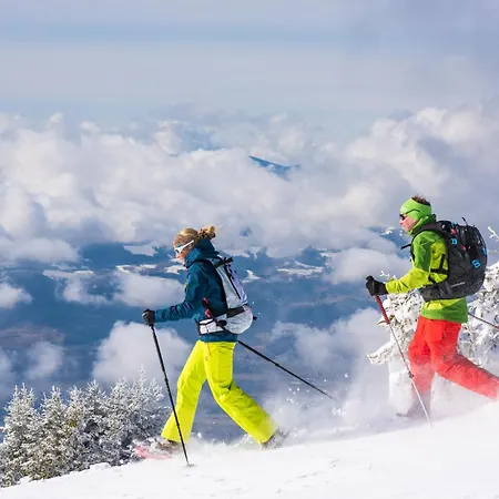 Alpehytte Fender Sonnalm Luxury Homes Gmünd