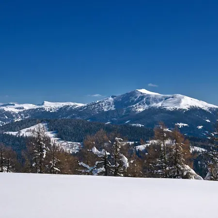 Alpehytte Fender Sonnalm Luxury Homes *