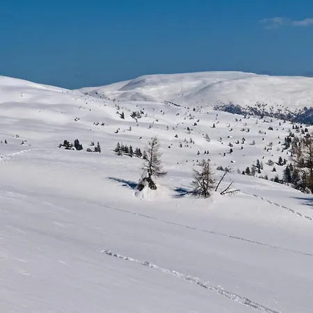 Fender Sonnalm Luxury Homes Alpehytte Gmünd