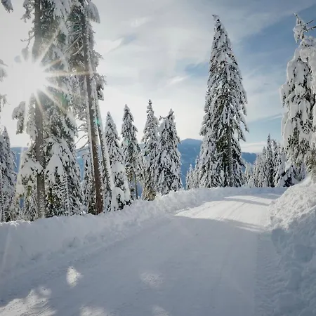 Alpehytte Fender Sonnalm Luxury Homes Gmünd