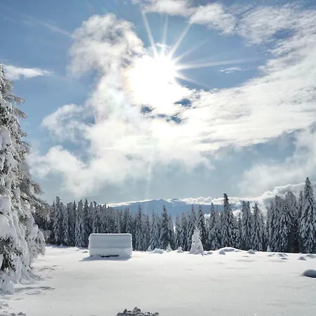 Fender Sonnalm Luxury Homes * Gmünd