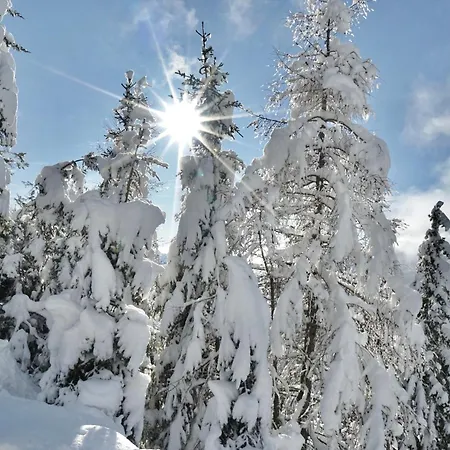 Fender Sonnalm Luxury Homes Alpehytte Gmünd