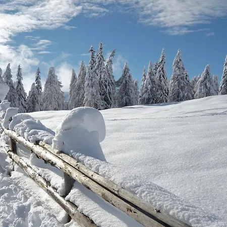 Fender Sonnalm Luxury Homes