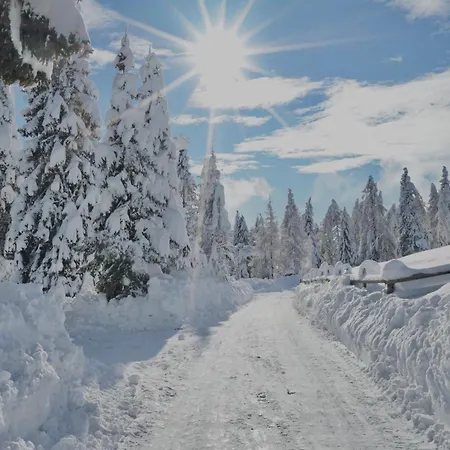 Fender Sonnalm Luxury Homes Alpehytte *