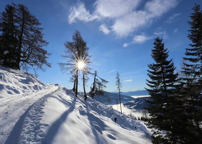 Fender Sonnalm Luxury Homes בקתה