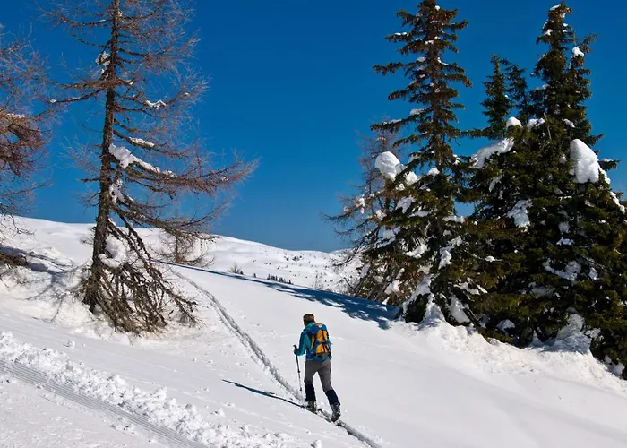 Fender Sonnalm Luxury Homes *