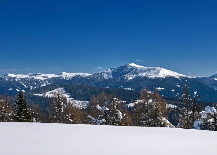 בקתה Fender Sonnalm Luxury Homes *