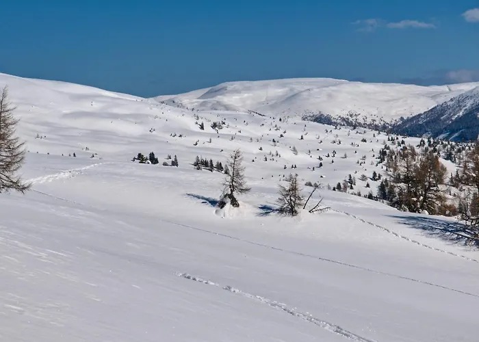 Fender Sonnalm Luxury Homes בקתה גמונד