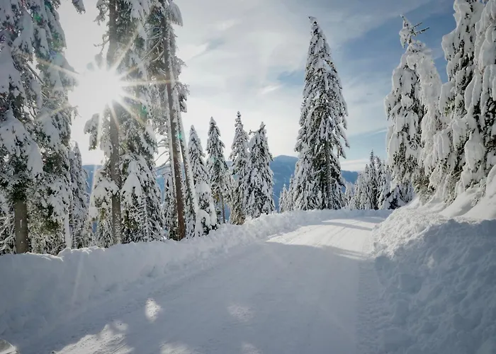 בקתה Fender Sonnalm Luxury Homes גמונד