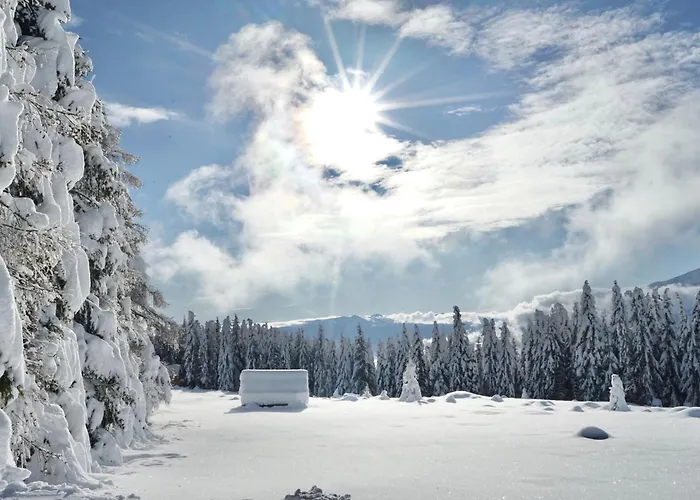 Fender Sonnalm Luxury Homes * גמונד