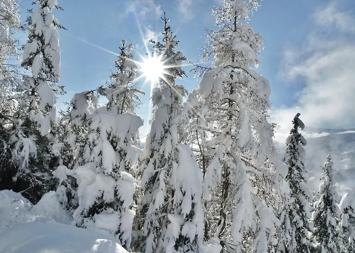 Fender Sonnalm Luxury Homes בקתה גמונד