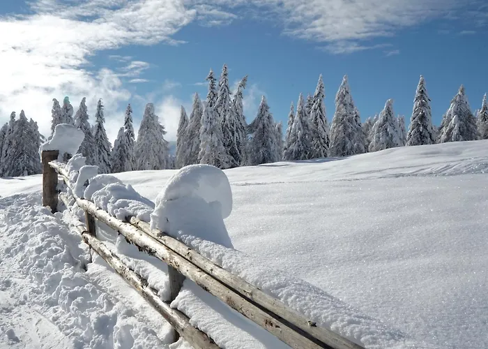 Fender Sonnalm Luxury Homes