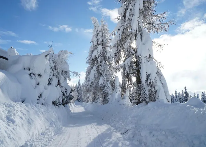 בקתה Fender Sonnalm Luxury Homes *