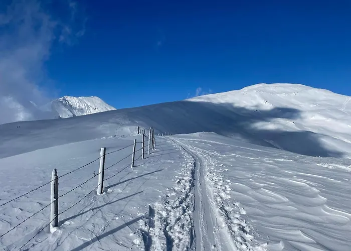 Fender Sonnalm Luxury Homes